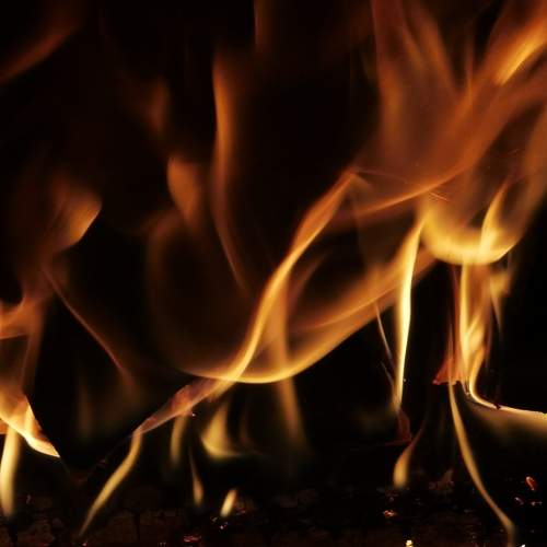 Photo #6347766