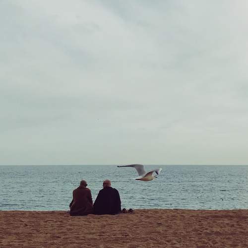 Photo #6348214