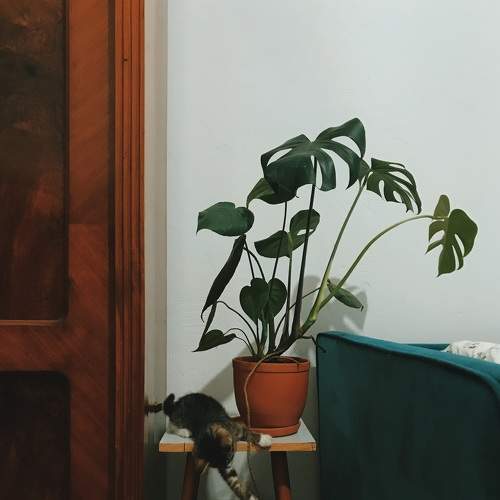 Photo #6348215