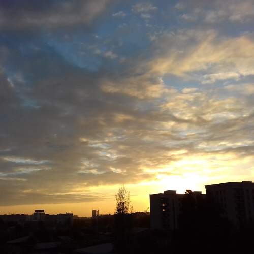 Photo #6348415
