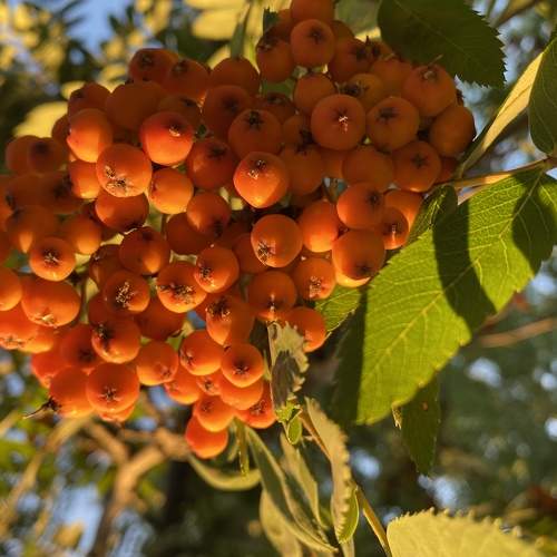 Photo #6348479