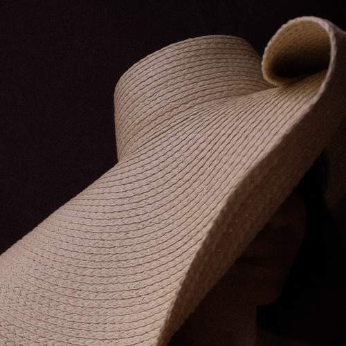 Photo #6348799