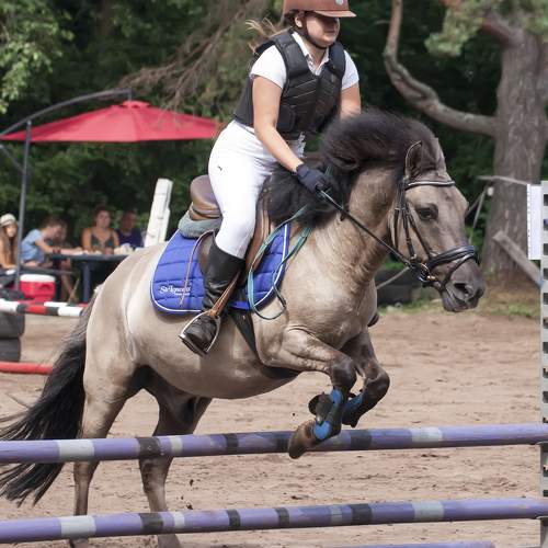 Photo #6348801