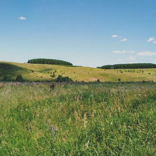 Photo #6349021