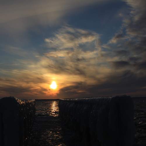 Photo #6349268