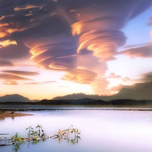Photo #6349510