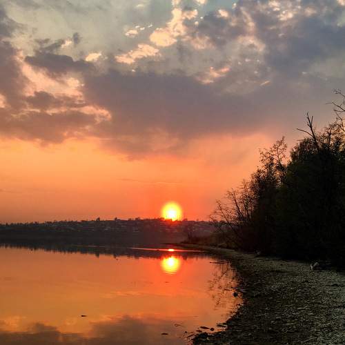 Photo #6349518