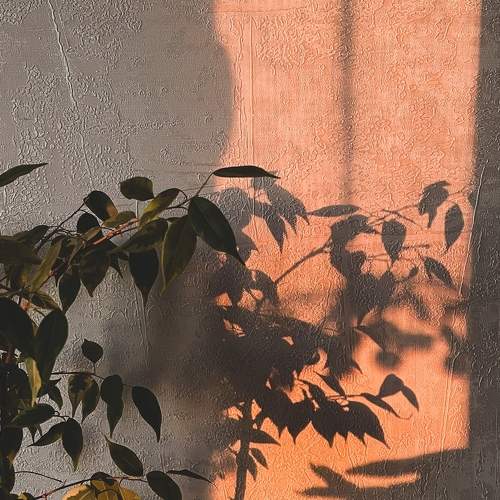Photo #6349538