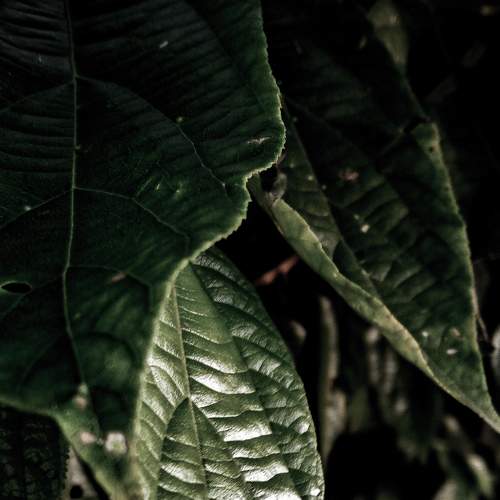 Photo #6349618