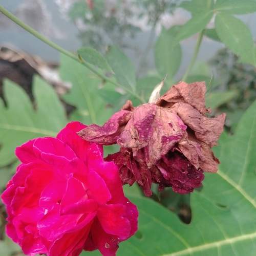 Photo #6349695