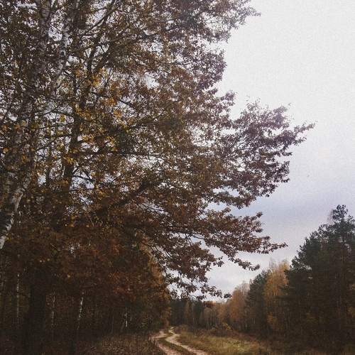 Photo #6349705