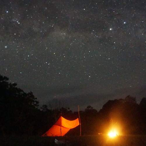 Photo #6350448