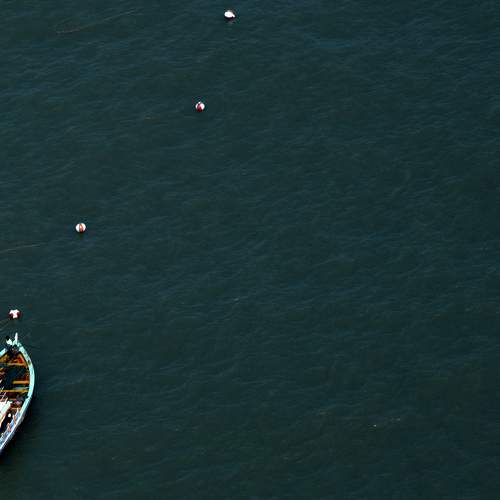 Photo #6350634