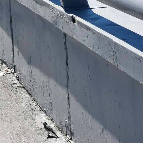 Photo #6351022