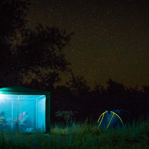 Photo #6351235