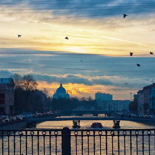 Photo #6351524