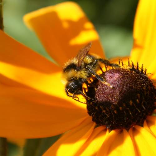 Photo #6352106