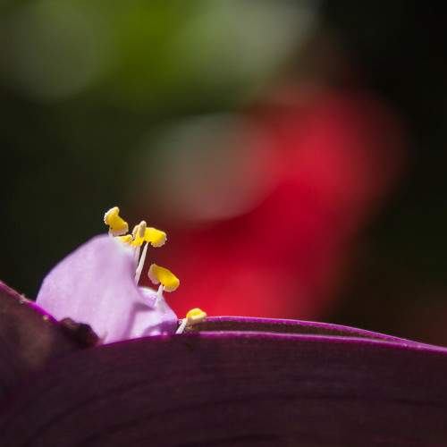 Photo #6352584