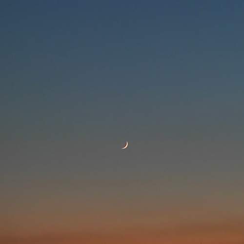 Photo #6353055