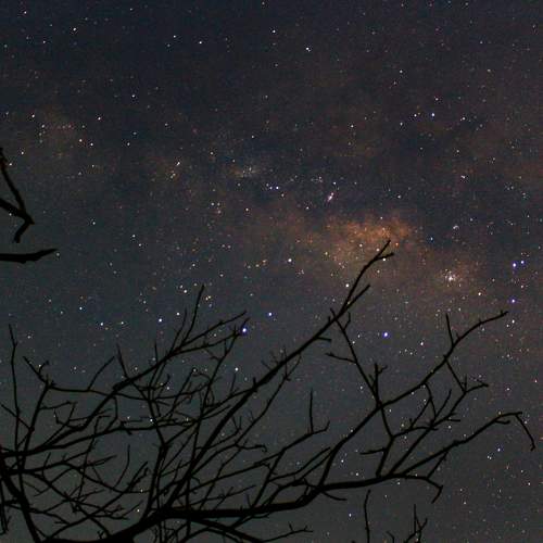 Photo #6353150