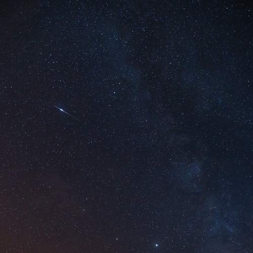 Photo #6353491
