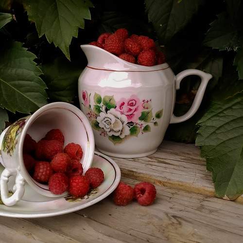 Photo #6353851