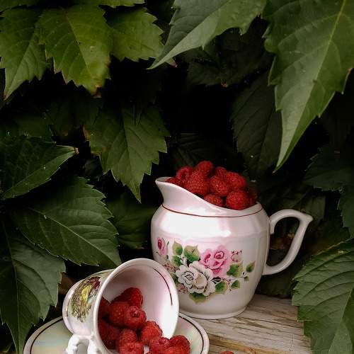 Photo #6353862