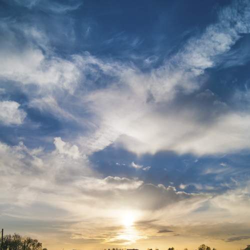 Photo #6353929