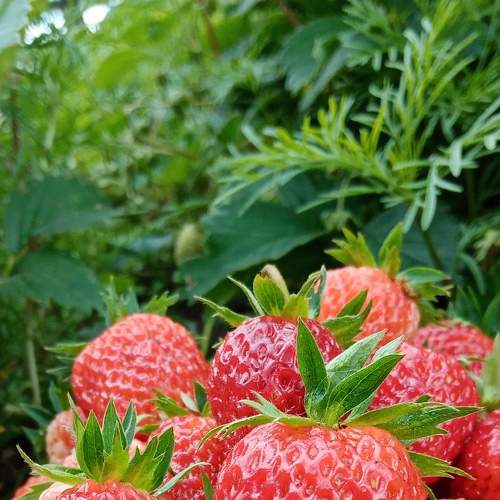 Photo #6353970
