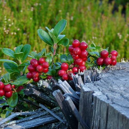 Photo #6353995