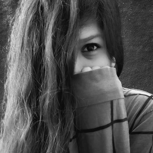 Photo #6354049