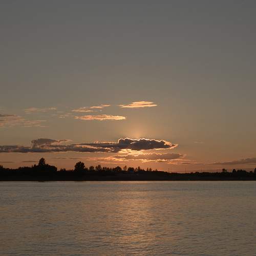 Photo #6354409