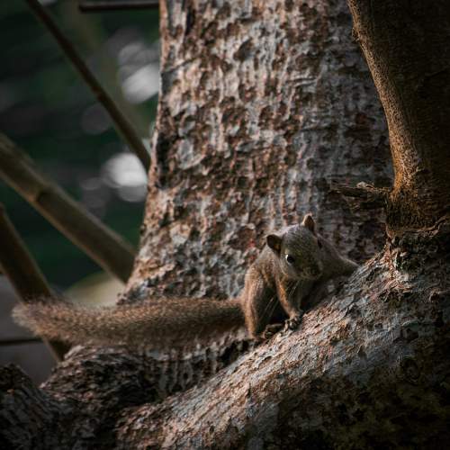 Photo #6354613