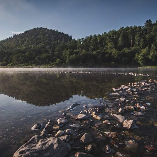 Photo #6354671