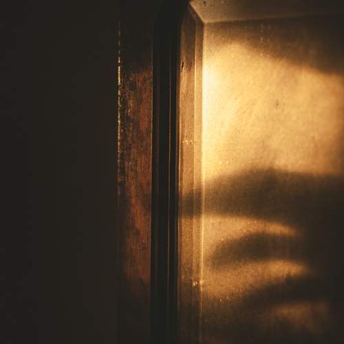 Photo #6354734