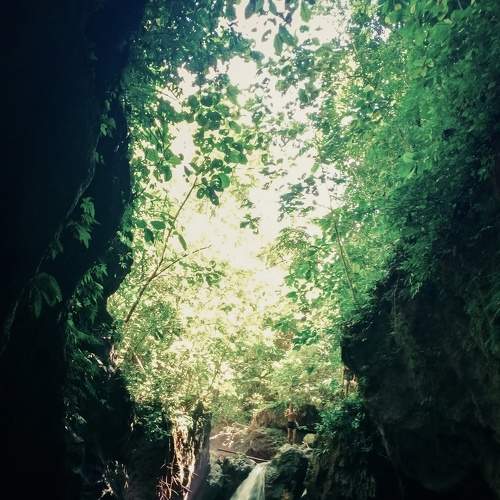 Photo #6354753