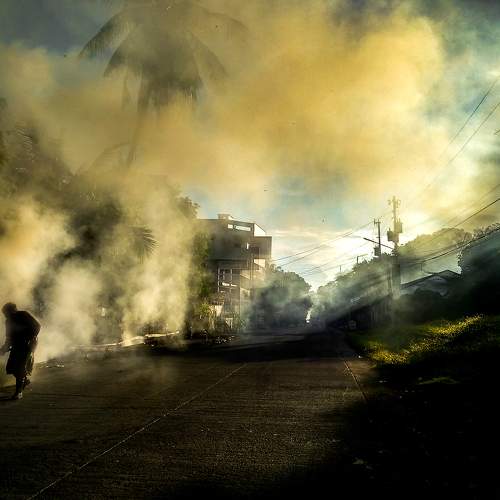 Photo #6354962