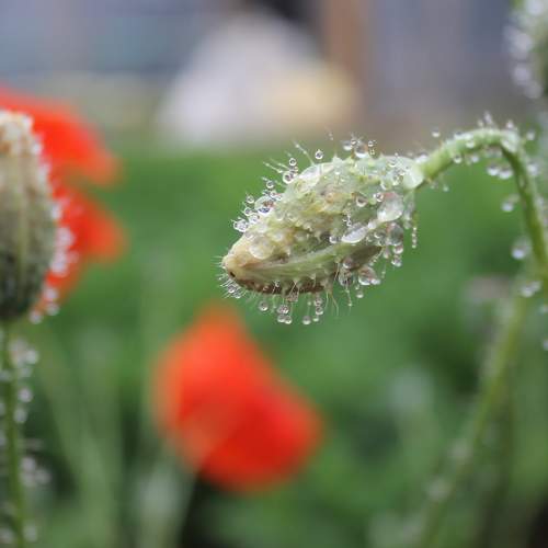 Photo #6355015