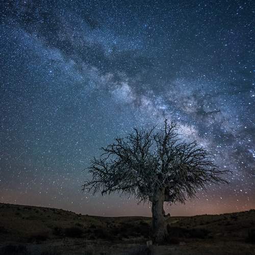 Photo #6355132