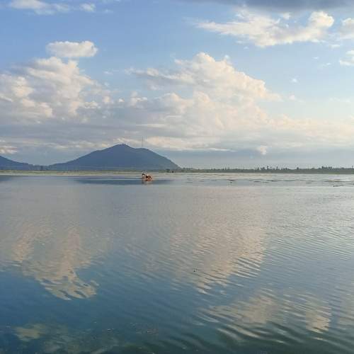 Photo #6355641