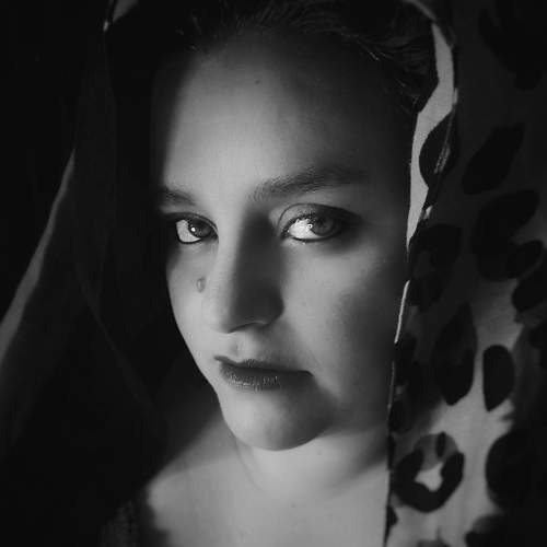 Photo #6355957
