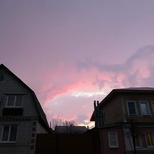 Photo #6356124