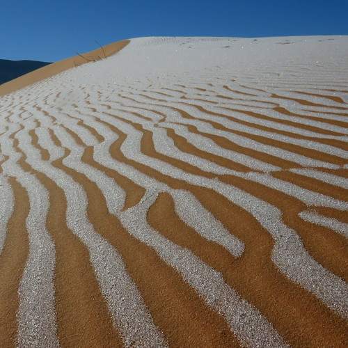 frost in sahara