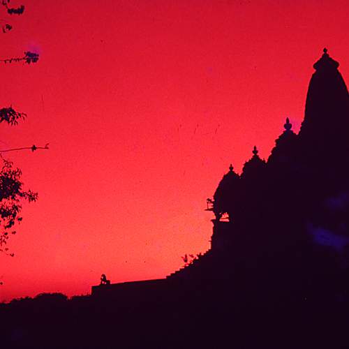 Photo #6356422