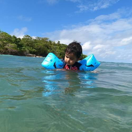 Photo #6356452