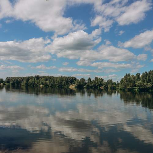 Photo #6356495
