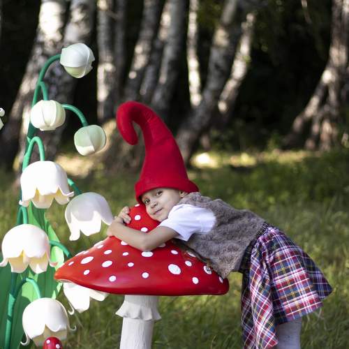 Photo #6356546