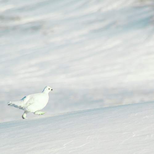 Photo #6357773