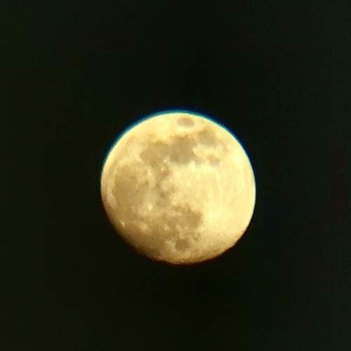 Photo #6357908