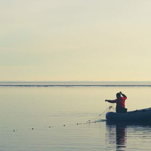 Photo #6357979